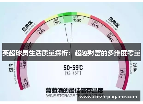 英超球员生活质量探析：超越财富的多维度考量