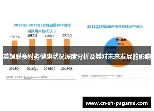 英超联赛财务健康状况深度分析及其对未来发展的影响